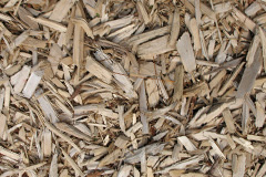 biomass boilers Combe Fishacre